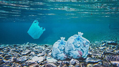 Carshalton Primary School’s fight against ocean plastic taken to Parliament 