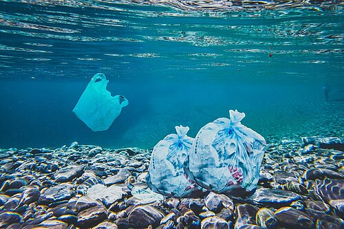 Carshalton Primary School’s fight against ocean plastic taken to Parliament 