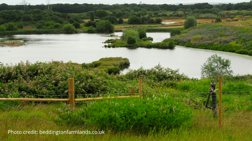 Beddington Farmlands