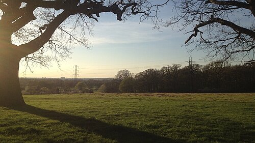 Sutton is a green borough